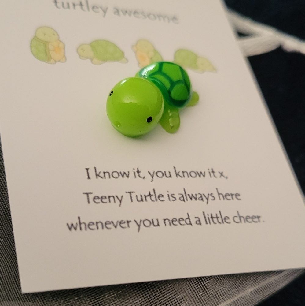 Pocket Hug Turtle - Picture 3 of 5